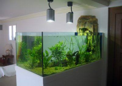 aquarium design sur mesure Mouans-sartoux