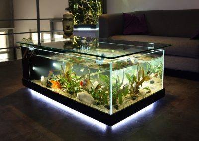 Table basse en aquarium
