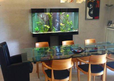 aquarium d'eau douce avec meuble 06