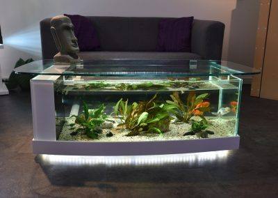 aquarium table basse cintrée