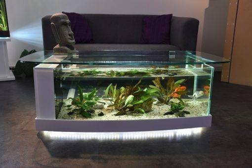 aquarium table basse cintrée